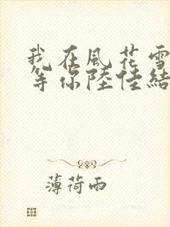 我在风花雪月里等你陆佳结局封面