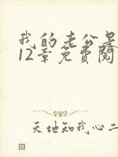 我的老公是只狗12章免费阅读小说