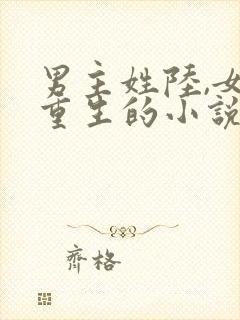 男主姓陆,女主重生的小说