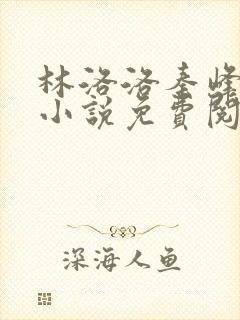 林洛洛秦峰继兄小说免费阅读封面