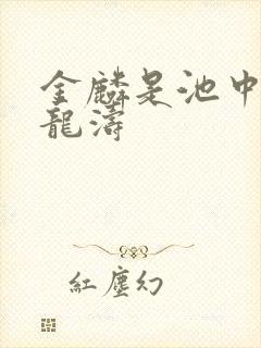 金麟是池中物侯龙涛