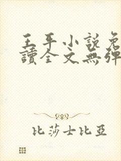 王平小说免费阅读全文无弹窗封面