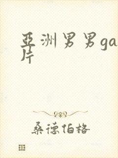 亚洲男男gay片封面