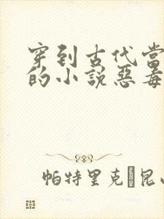 穿到古代当后妈的小说恶毒