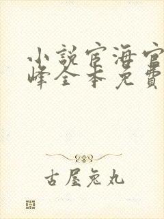 小说宦海官途秦峰全本免费阅读封面