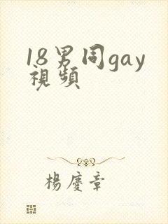 18男同gay视频