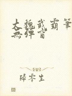 大魏武霸笔趣阁无弹窗