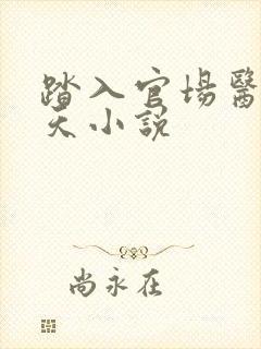 踏入官场医道问天小说