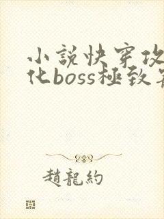 小说快穿攻略黑化boss极致宠