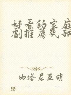 好看的家庭电视剧推荐几部 前十名