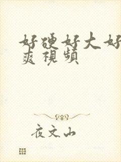 好硬好大好爽好爽视频