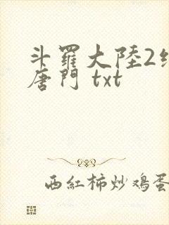 斗罗大陆2绝世唐门 txt