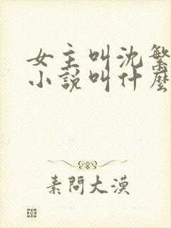 女主叫沈繁星的小说叫什么名字