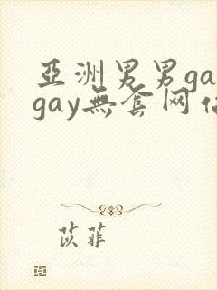 亚洲男男gaygay无套网站