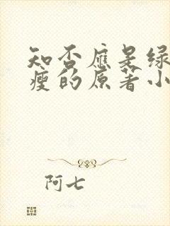 知否应是绿肥红瘦的原著小说听书封面