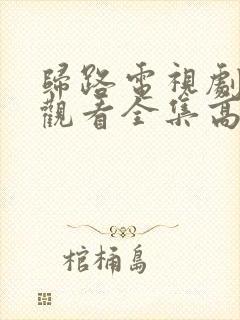 归路电视剧免费观看全集高清完整版封面