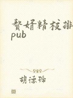 赘婿精校排版epub