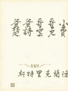 爸爸哥哥小叔子楚诗云免费阅读小说