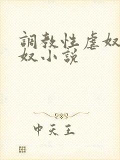 调教性虐奴警花奴小说