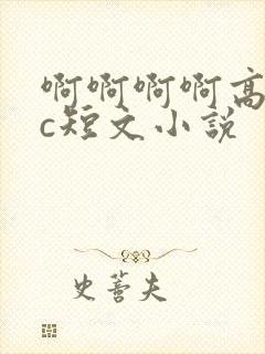啊啊啊啊高h高c短文小说封面