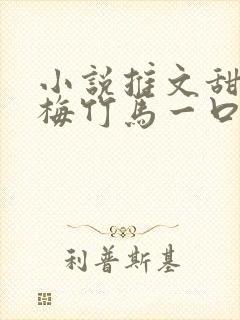 小说推文甜文青梅竹马一口气看完封面