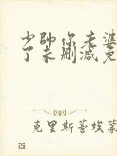 少帅你老婆又跑了未删减免费阅读封面