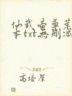 仙武帝尊叶辰全本txt无删减封面