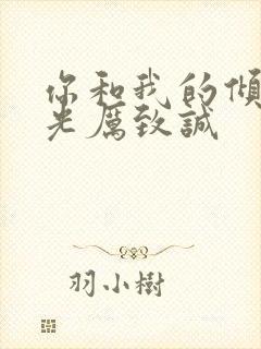 你和我的倾城时光厉致诚封面