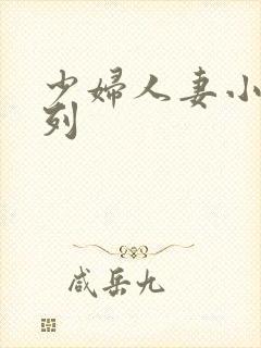 少妇人妻小说系列