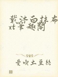 戴沐白抹布文txt笔趣阁封面