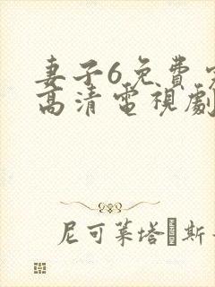 妻子6免费完整高清电视剧在线看