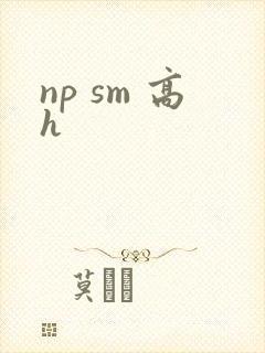 np sm 高h
