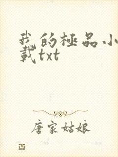 我的极品小姨下载txt