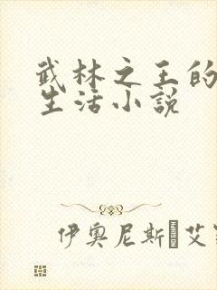 武林之王的退隐生活小说