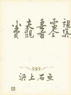 小夫妻电视剧免费观看全集完整版高清