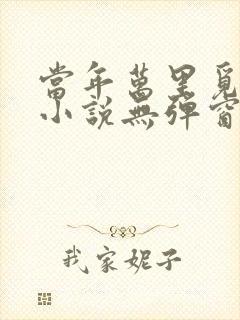 当年万里觅封侯小说无弹窗