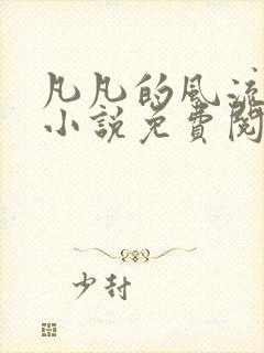 凡凡的风流人生小说免费阅读封面