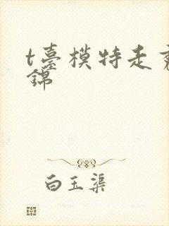 t台模特走秀集锦