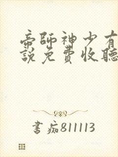 帝师神少有声小说免费收听