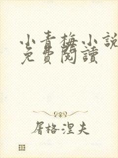 小青梅小说全文免费阅读