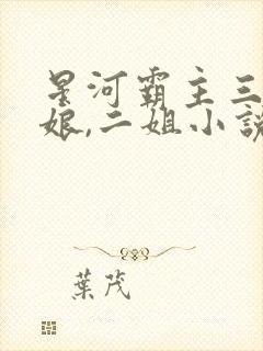 星河霸主三宝,娘,二姐小说