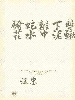骑蛇难下双金银花水中泥鳅封面
