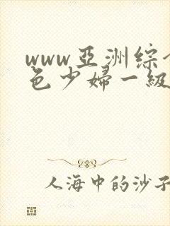 www亚洲综合色少妇一级av