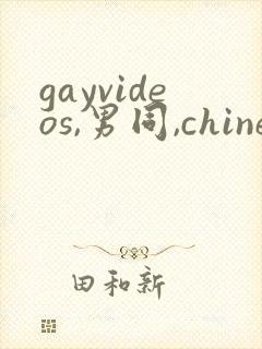 gayvideos,男同,chinese封面