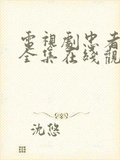 电视剧忠者无敌全集在线观看免费高清