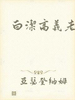 白洁高义老七封面