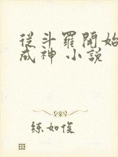 从斗罗开始逆天成神 小说