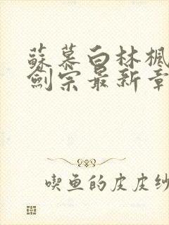 苏慕白林枫神霄剑宗最新章节