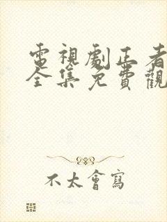 电视剧正者无敌全集免费观看