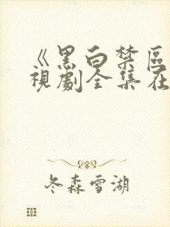 《黑白禁区》电视剧全集在线观看